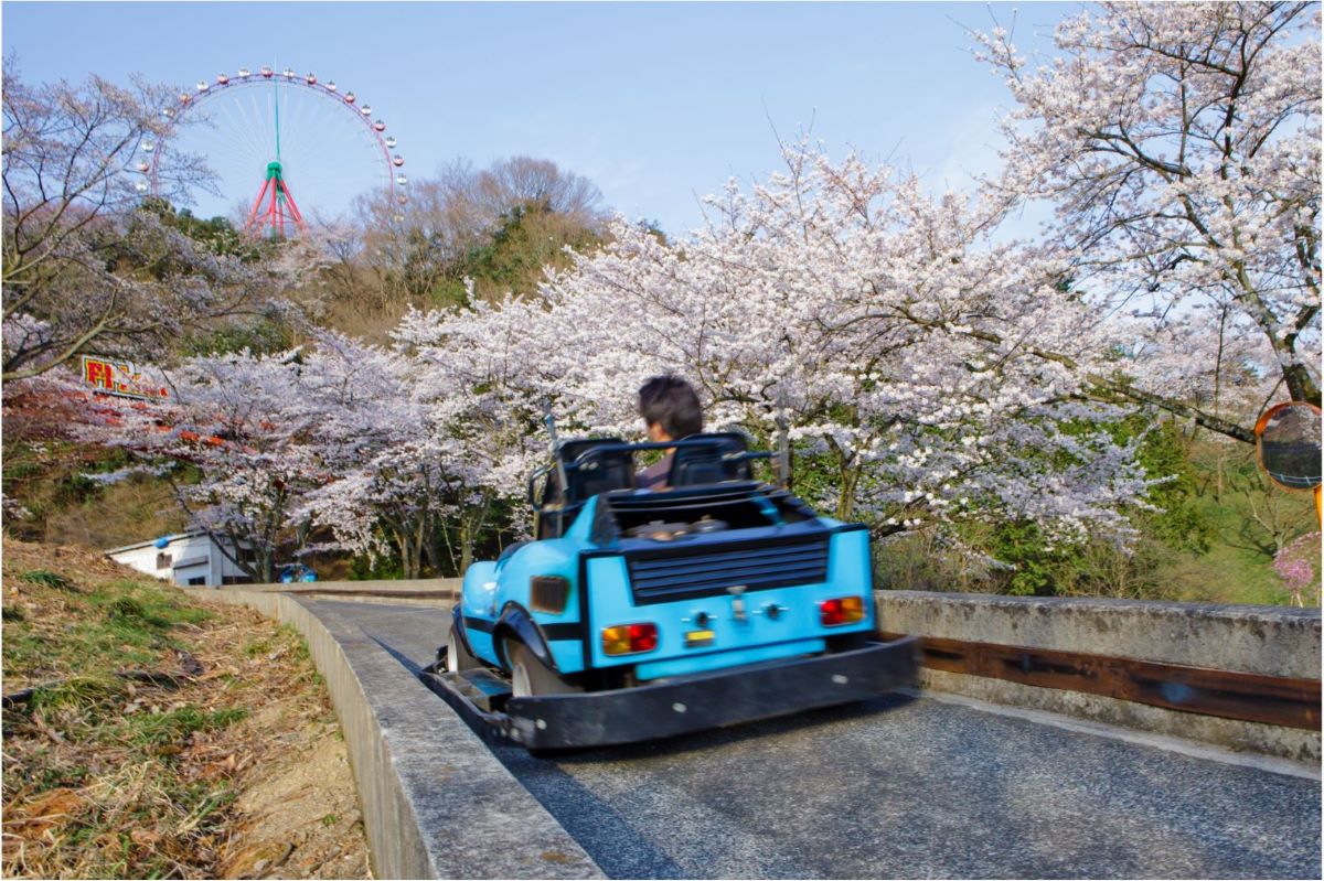 F-1カートでお花見ドライブ