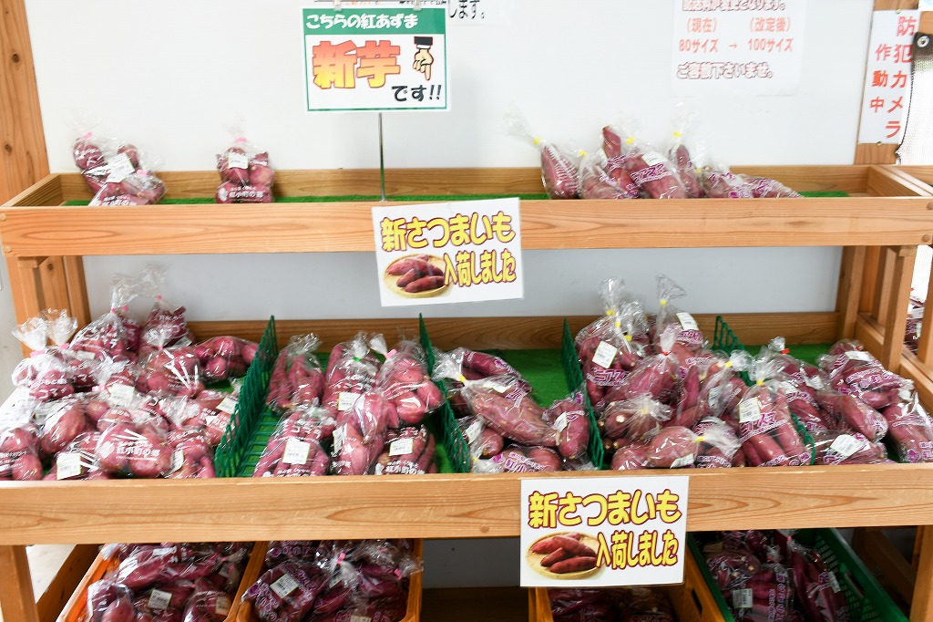 夏～秋にかけて充実するさつまいもはギフトにする人も多い