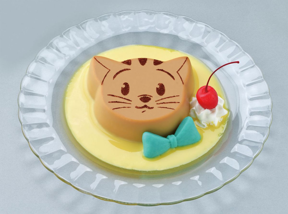 © & ® UCS LLC and HC LLC