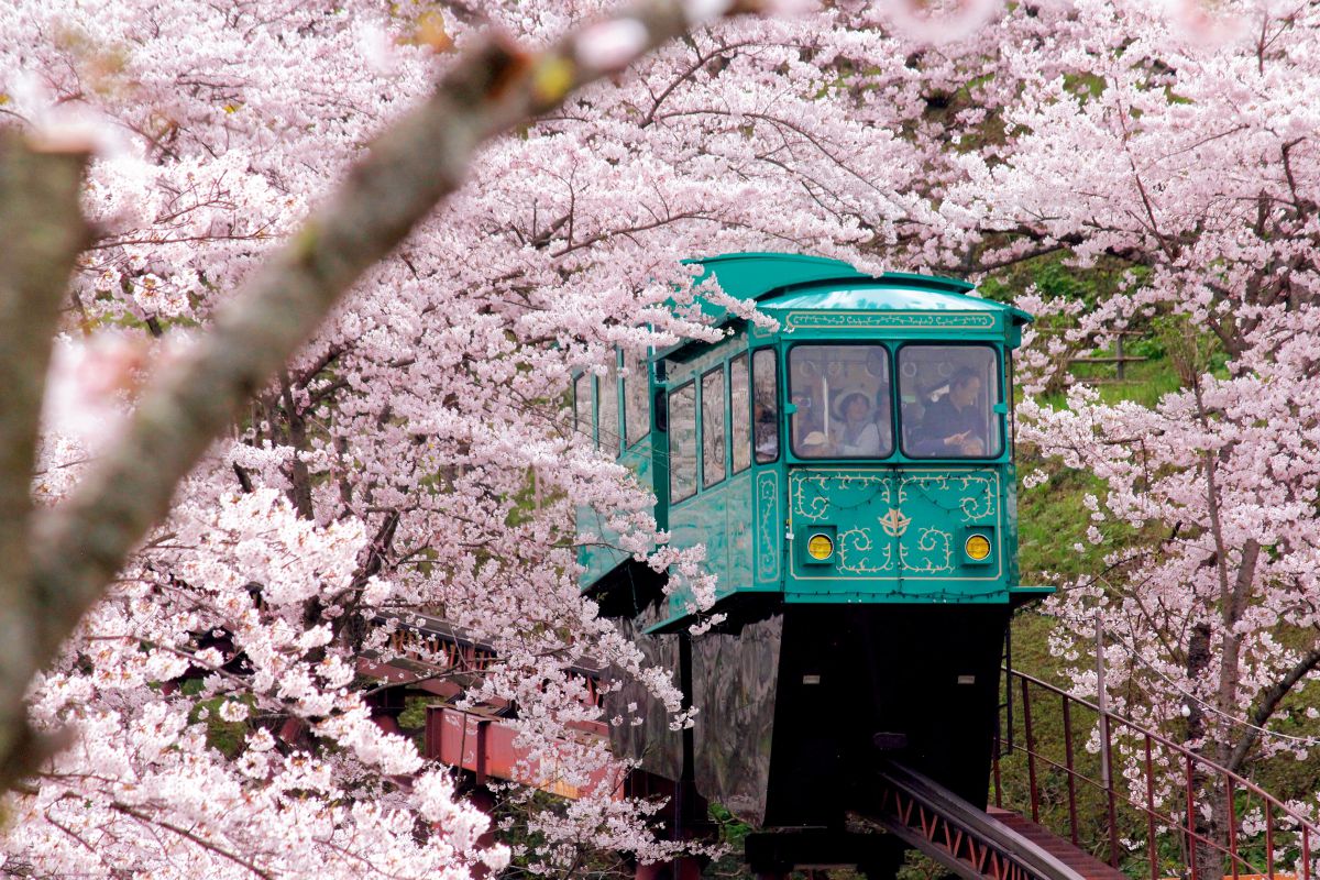 船岡城址(スロープカー )
