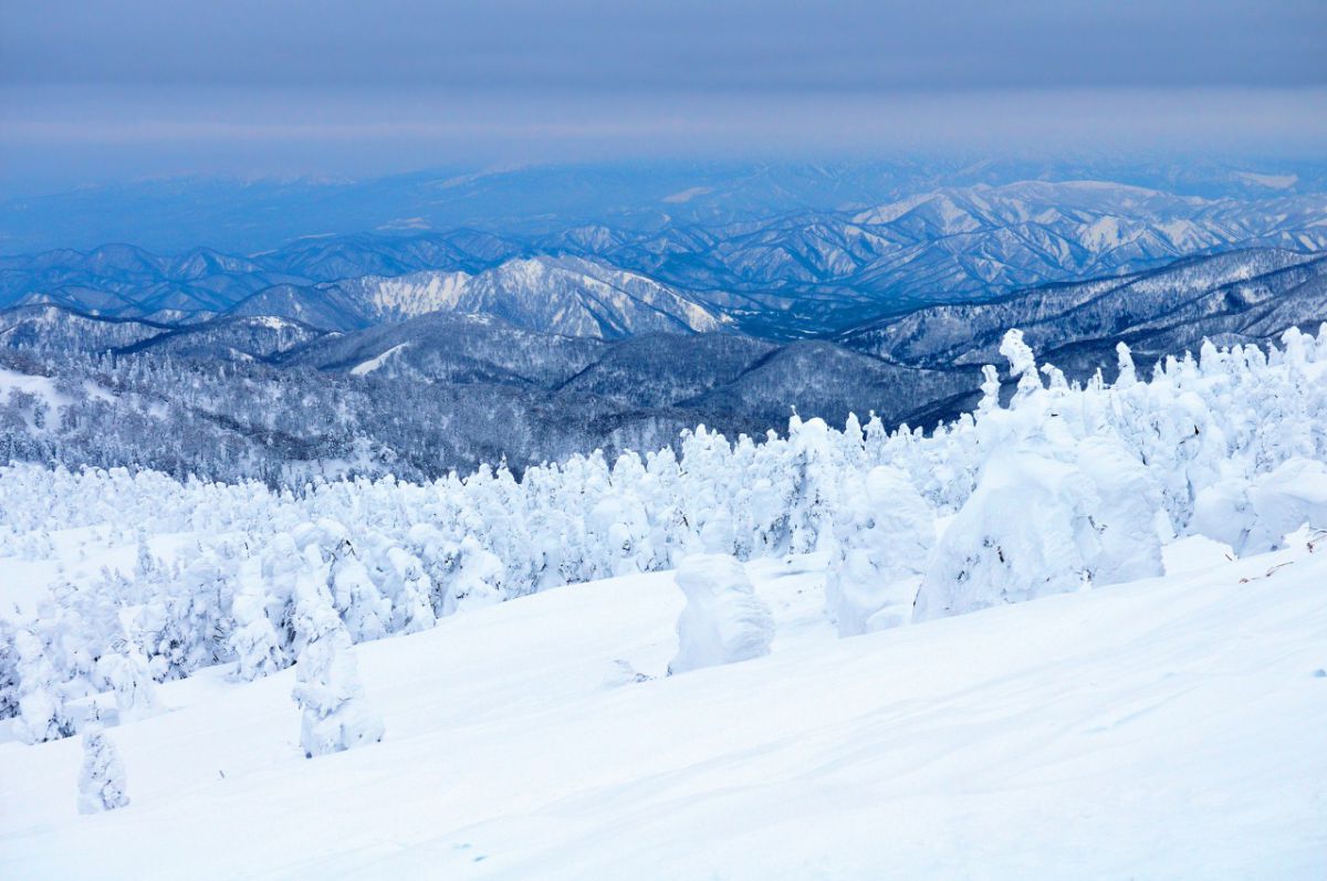 蔵王の樹氷