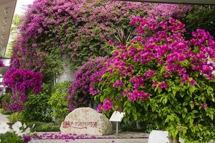 宮崎空港エントランス