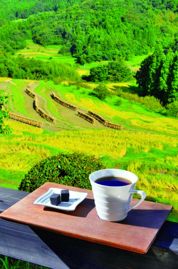 ※テラス席はテイクアウト利用のみ（写真は特別に店内用の食器で掲載しています）