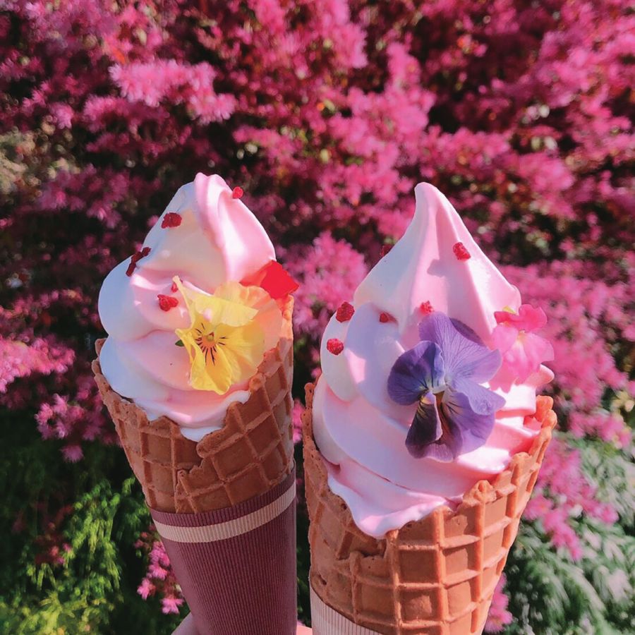 フラワーソフト1個550円／横浜イングリッシュガーデン YEG Original CAFÉ