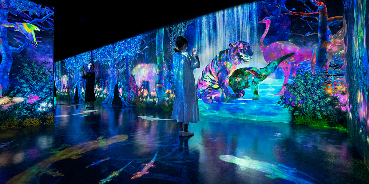 夢幻品質　地球創生の神秘と宇宙の輝きを宿す奇跡の鉱物　グランアースシードライト Amazon.co.jp: 全国悪霊退治 -夢幻-【豪華盤】 [Blu-ray] : -真