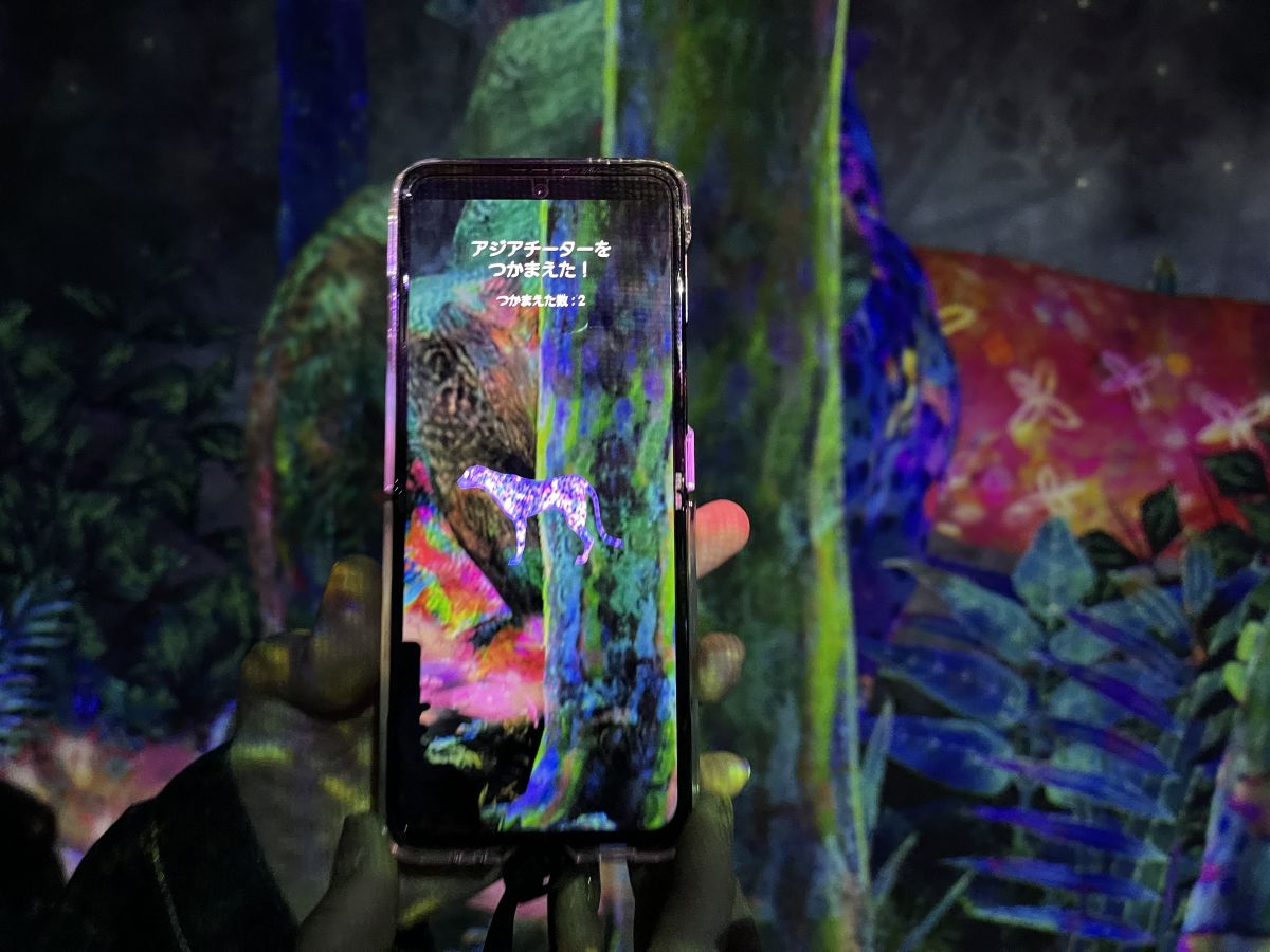 捕まえた動物が画面に！