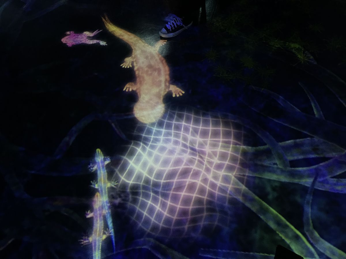 「観察の網」を張って動物たちを追い込もう