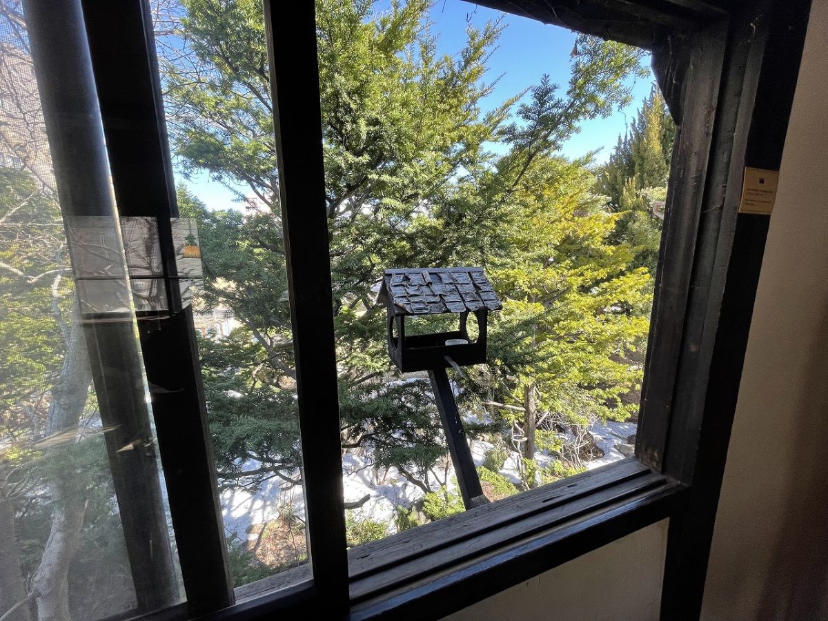 エサ台には自然豊かな円山周辺で暮らす鳥たちのほか、リスが遊びに来ることも