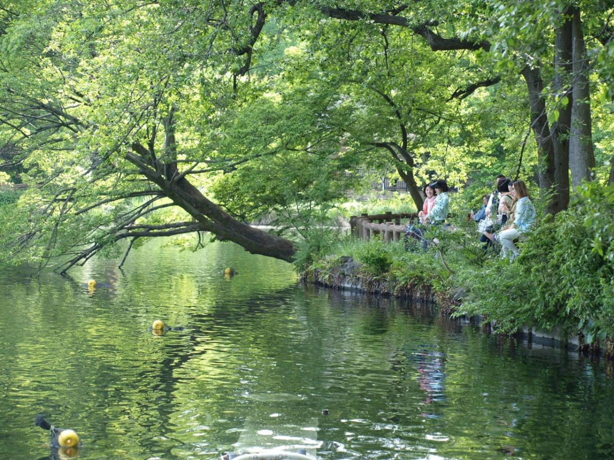 井の頭恩賜公園