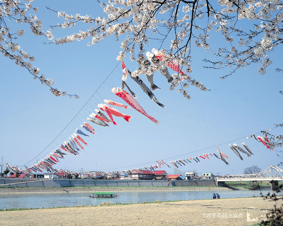 北上川上空を泳ぐ鯉のぼりと渡し舟 