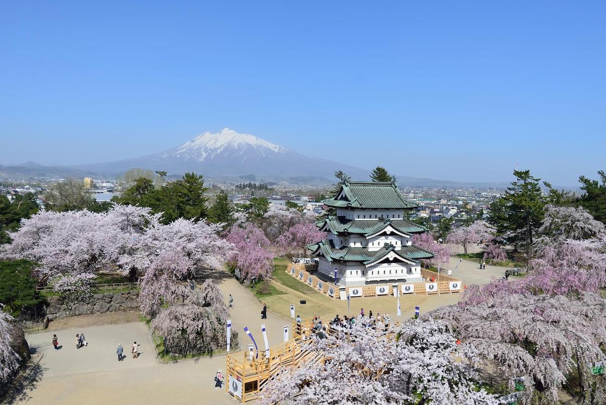 青森 弘前さくらまつり 世界が見惚れる桜の名所 みどころ徹底解説 るるぶ More