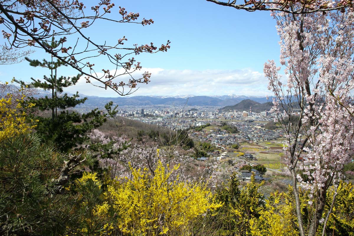 山頂からの眺め