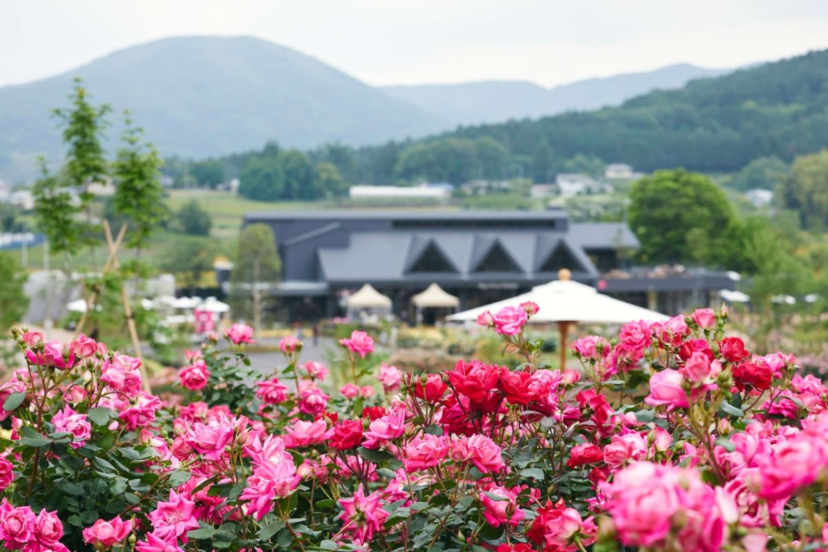 いばらきフラワーパーク