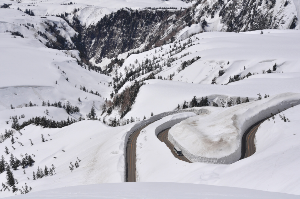 上から見ると、観光バスの屋根より高い雪の壁がずっと続いてるのがよく分かります