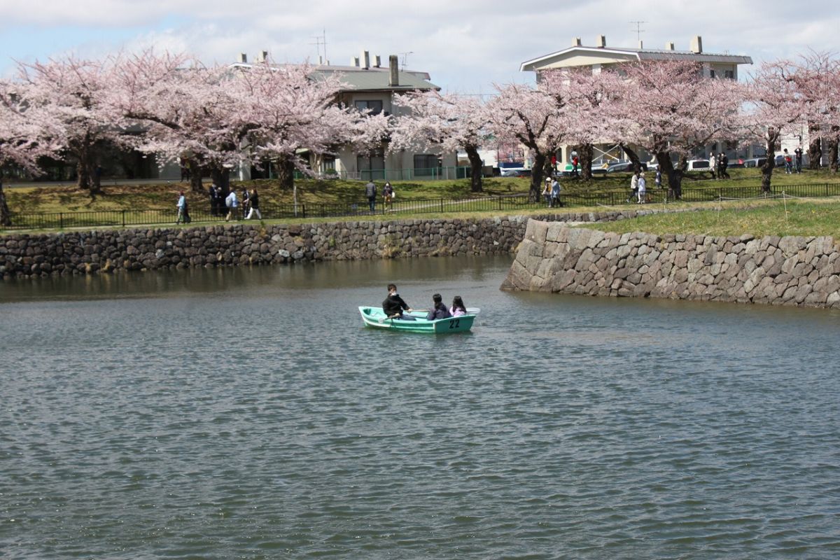 手こぎボート遠景