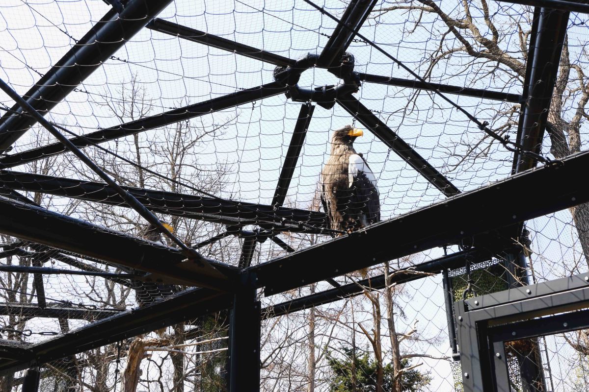 旭山動物園の北海道産動物舎