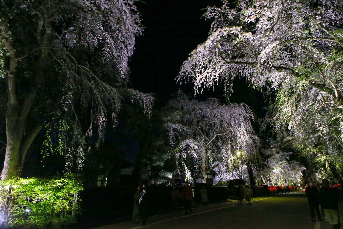 武家屋敷通りのライトアップ