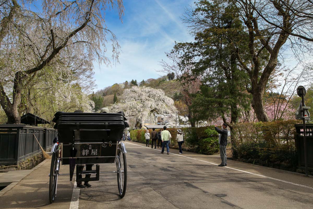 みどころで立ち止まり丁寧に説明してくれる