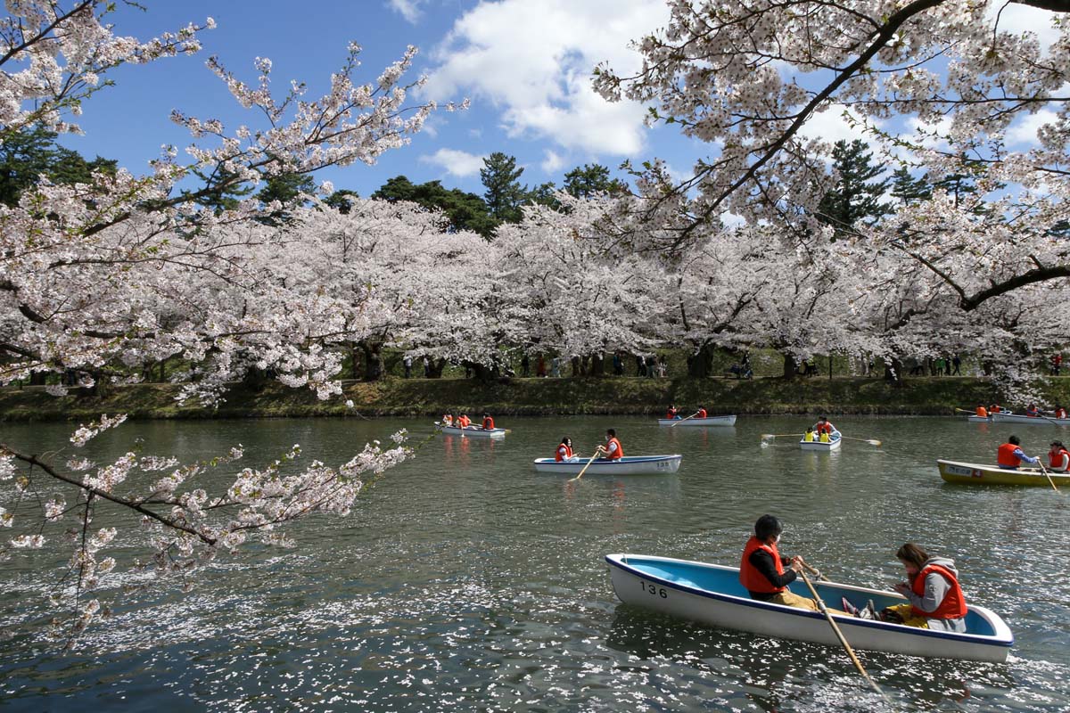 西濠で水上から花見を楽しもう