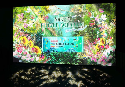 「Welcome Flower Gate」イメージ