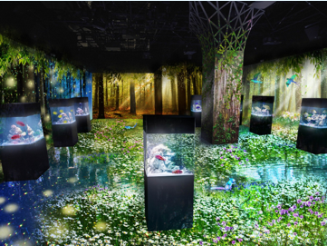 「Marine Forest」イメージ