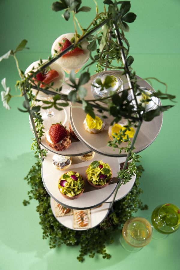 「AfterMOON Tea -Forest 2022」イメージ