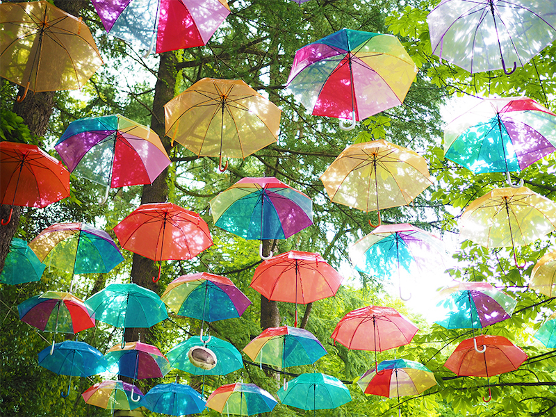 スサンナのだいじなねぼすけネコも登場です