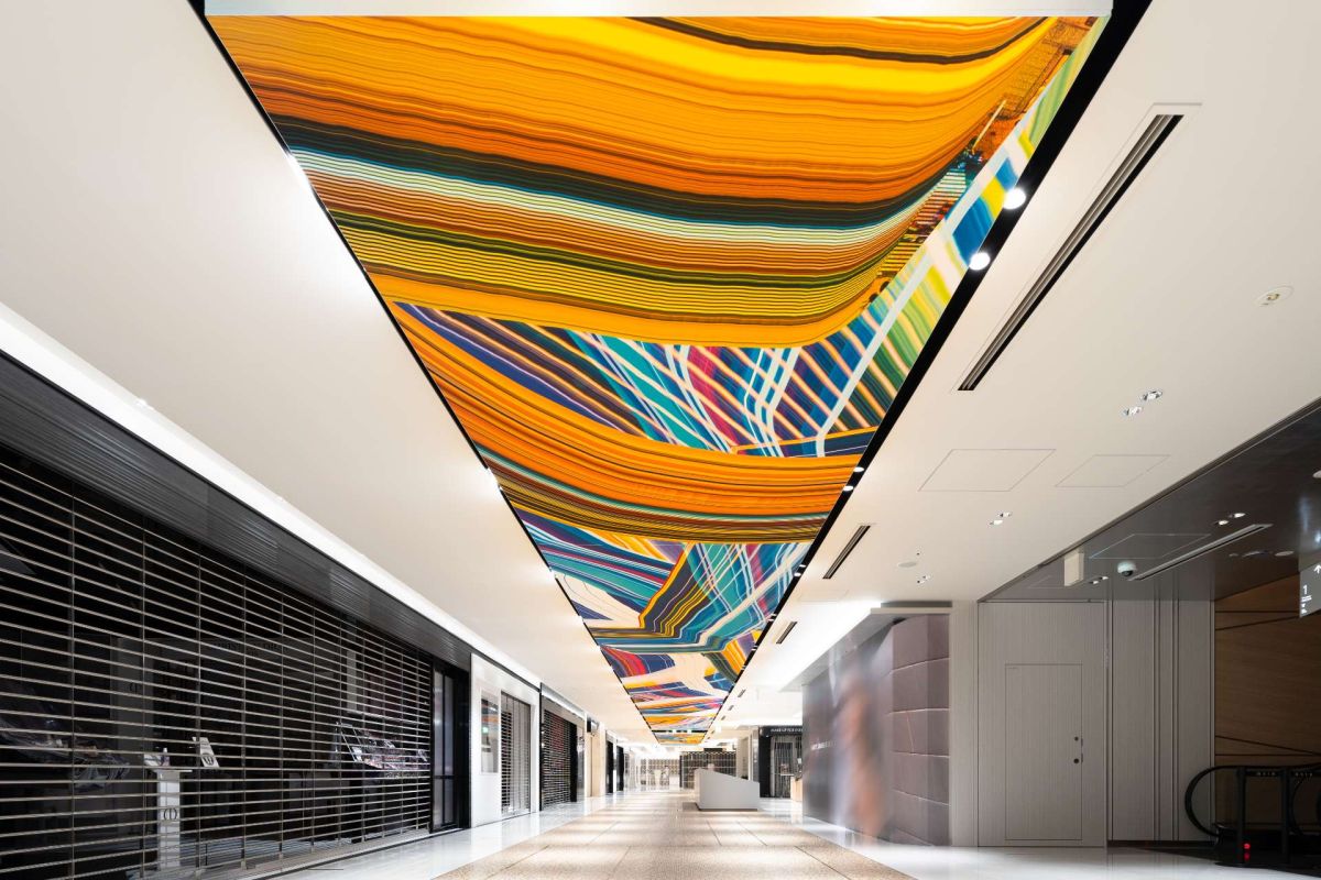 ©️Kenta Cobayashi