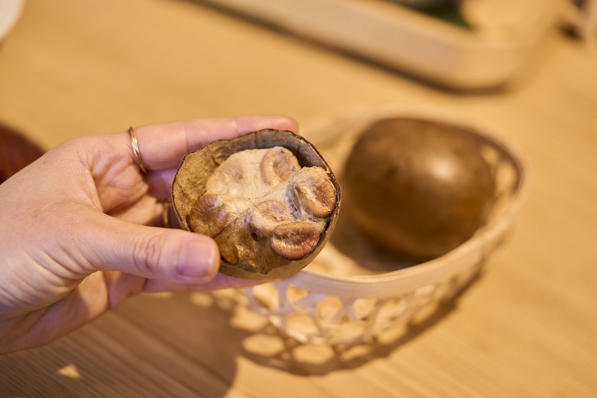 神宮前 らかん・果