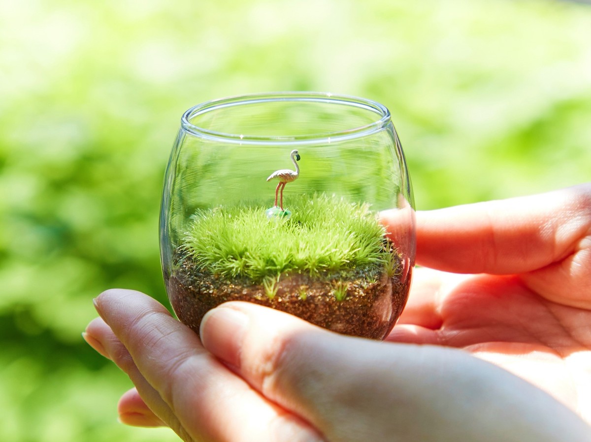 梅雨のアジサイシーズンに訪れたい最新の鎌倉