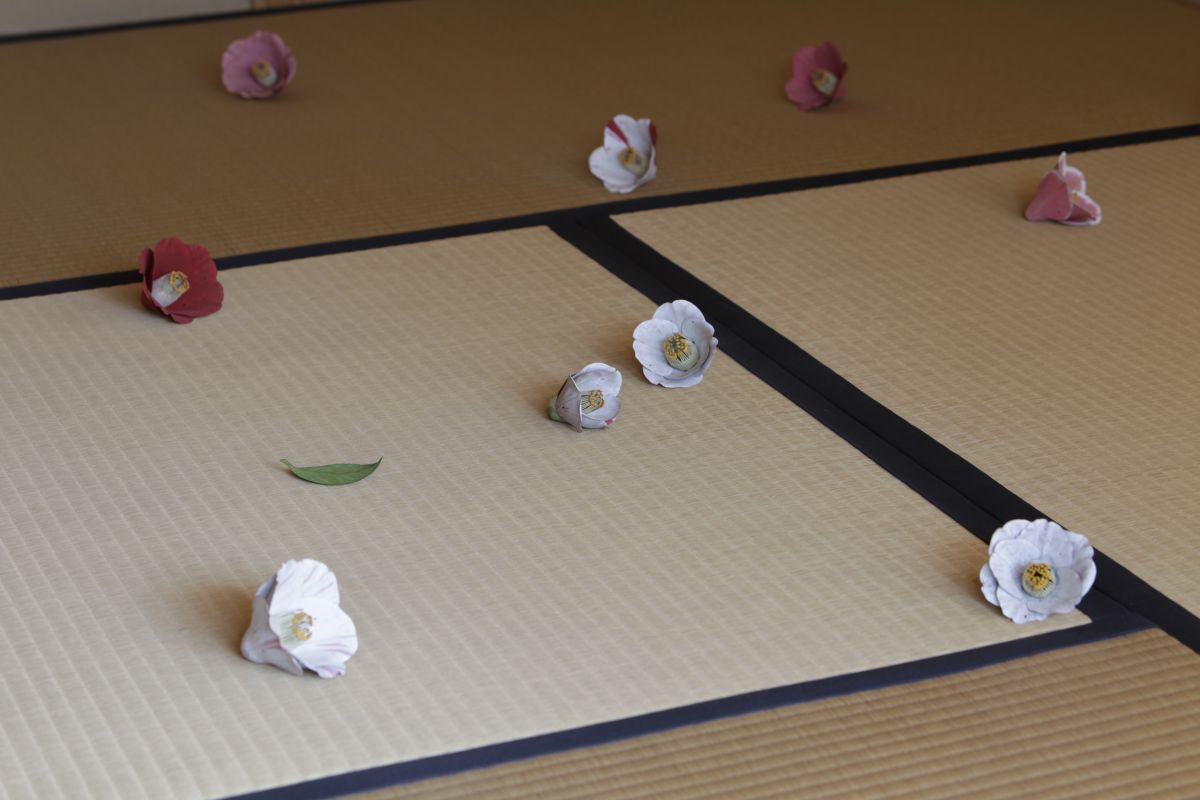 家プロジェクト「碁会所」　須田悦弘＂碁会所＂　写真：渡邉修