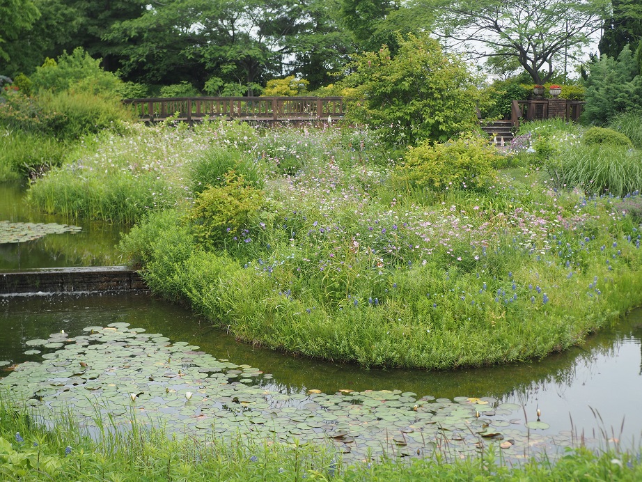 自然の風景を再現した「花の谷」