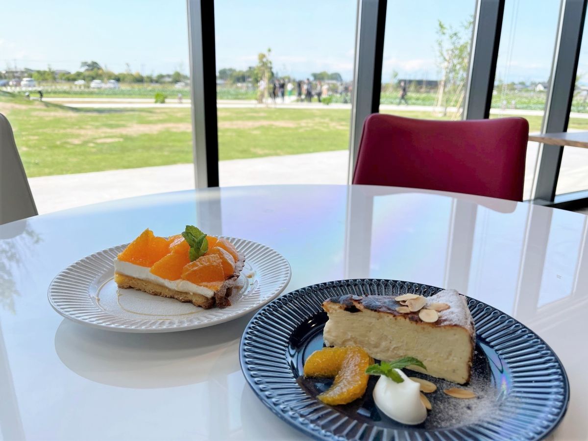 左から、デコポンのフルーツタルト750円、バスクチーズケーキ750円 ※取材時のメニュー