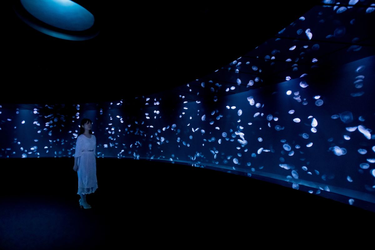 「海月空感（くらげくうかん）」