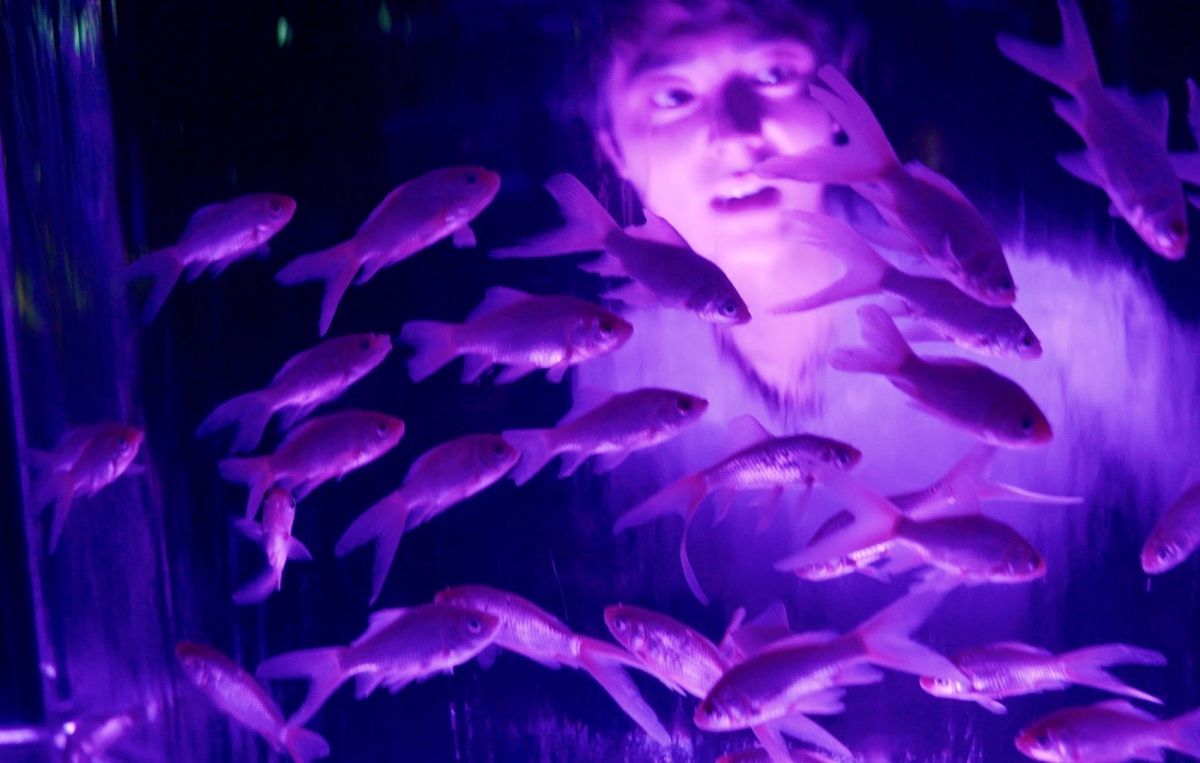 金魚の滝