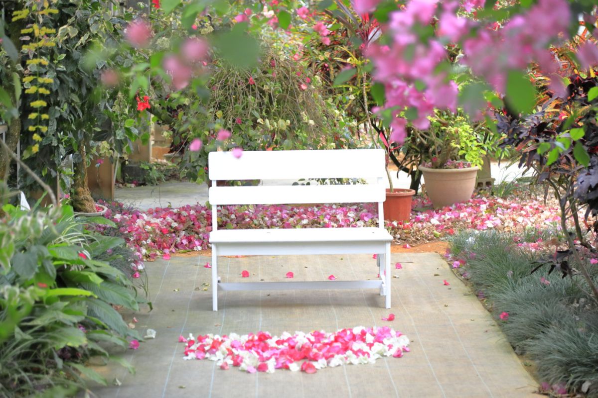 人気のフォトスポット