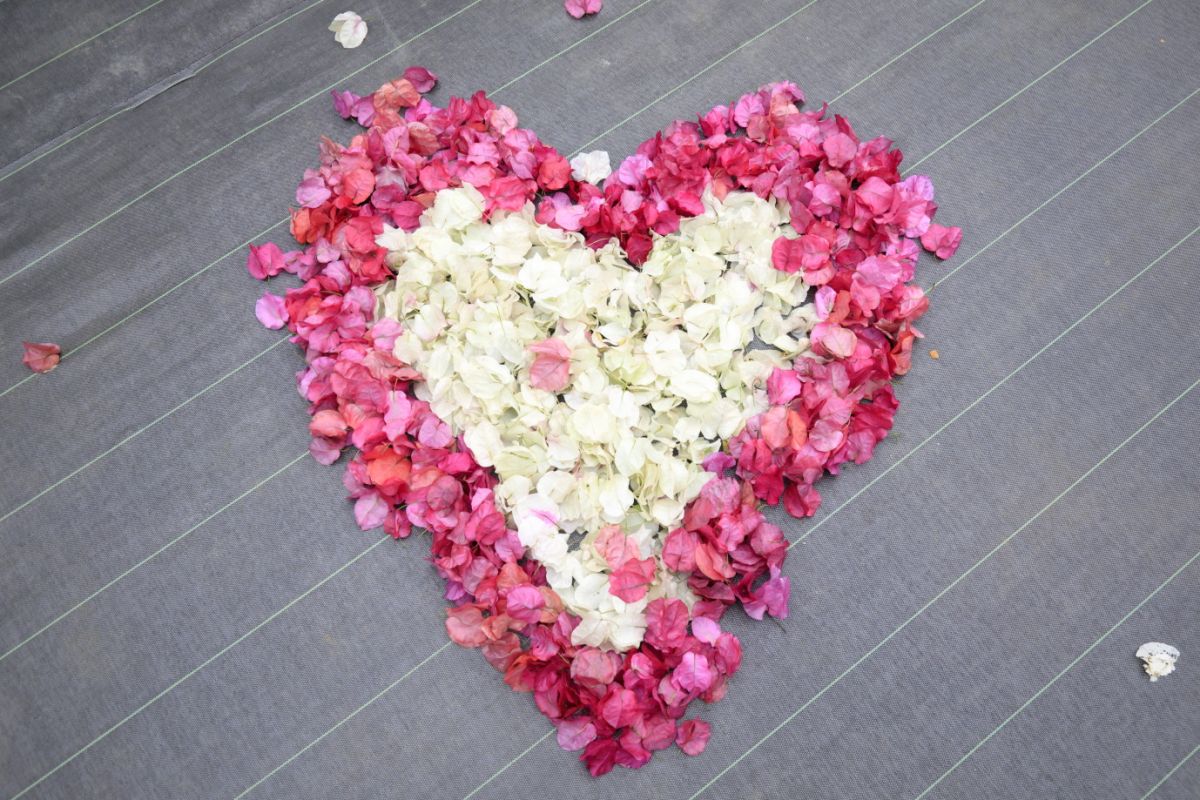 咲き終わったブーゲンビリアを寄せ集めてかわいいハートに