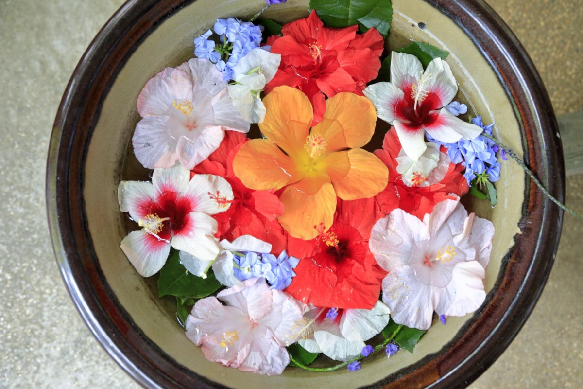 花手水風のあしらいも発見！