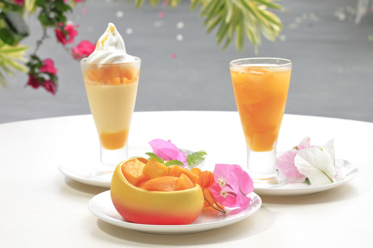 贅沢マンゴープリン（手前）820円、マンゴージュレ（右） 570円、マンゴープリン（左）　570円