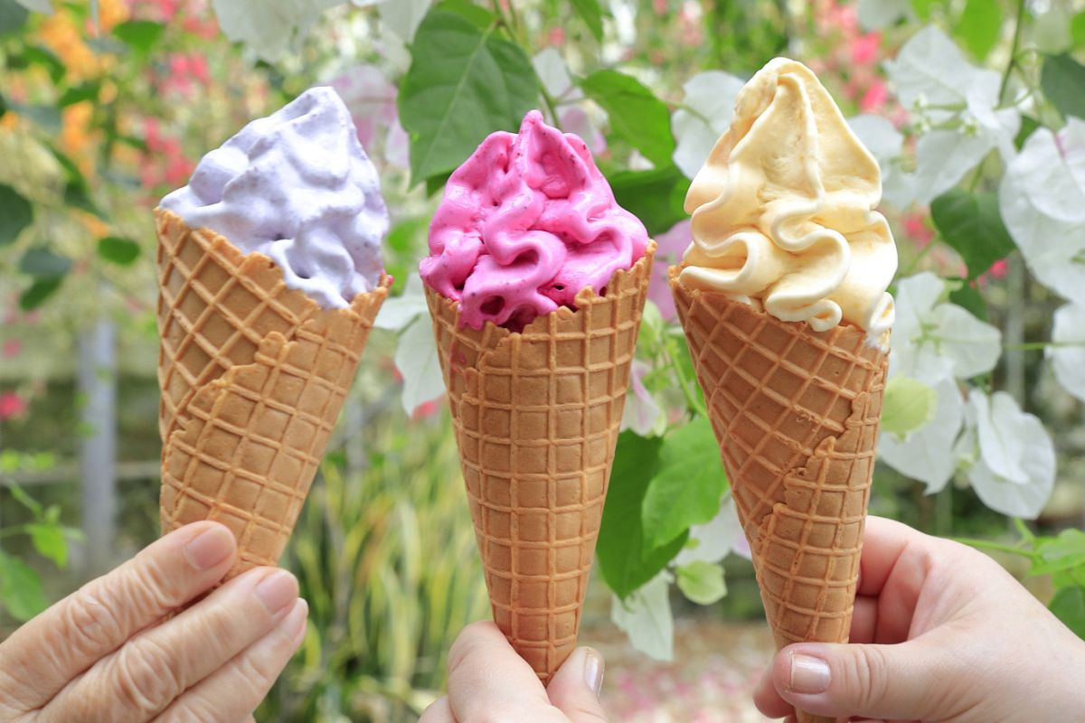 フルーツソフト。左から紅いも、ドラゴンフルーツ各500円、マンゴー520円