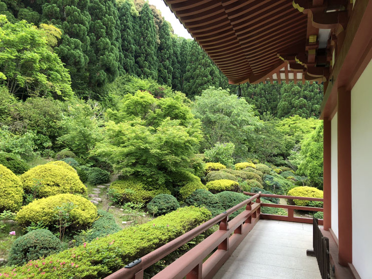 大阪あじさいスポット！久安寺「あじさいうかべ」が2022年6月16日～7月3日まで開催