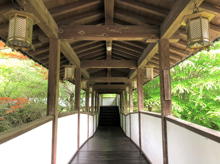 大阪あじさいスポット！久安寺「あじさいうかべ」が2022年6月16日～7月3日まで開催