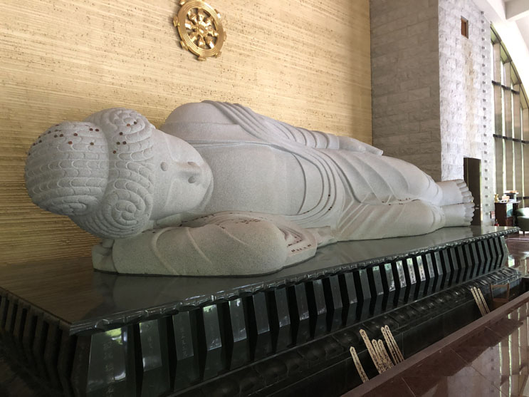 大阪あじさいスポット！久安寺「あじさいうかべ」が2022年6月16日～7月3日まで開催