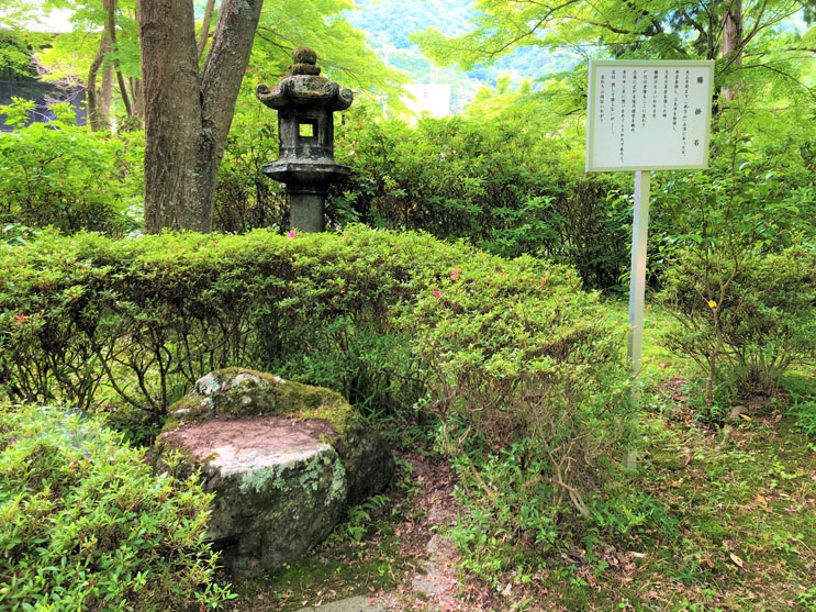 大阪あじさいスポット！久安寺「あじさいうかべ」が2022年6月16日～7月3日まで開催