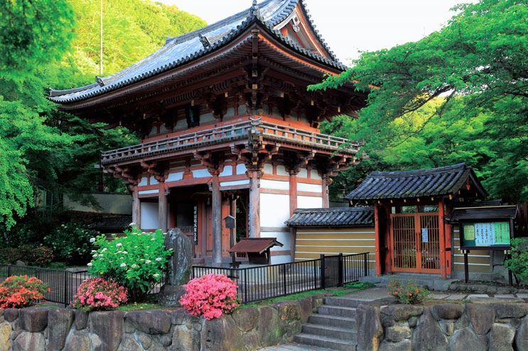 大阪あじさいスポット！久安寺「あじさいうかべ」が2022年6月16日～7月3日まで開催