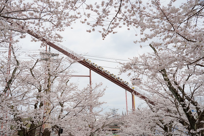 よみうりランド