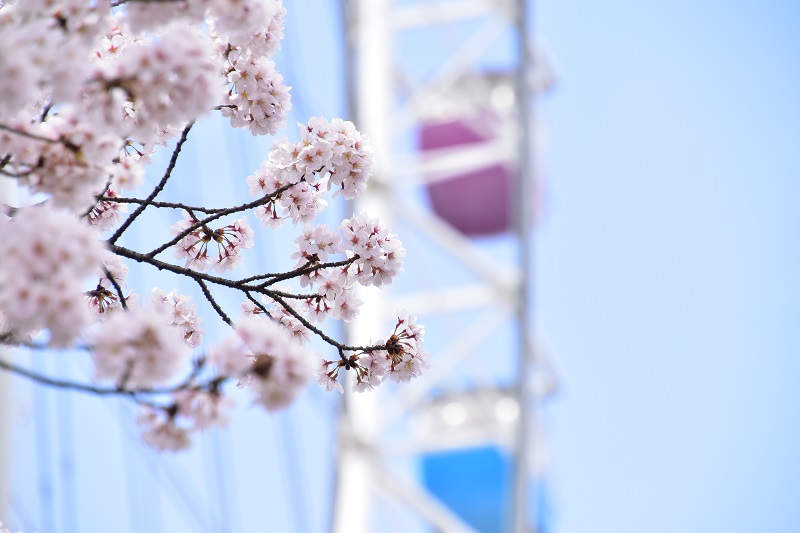 よみうりランド