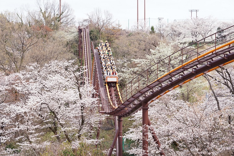 よみうりランド バンデット