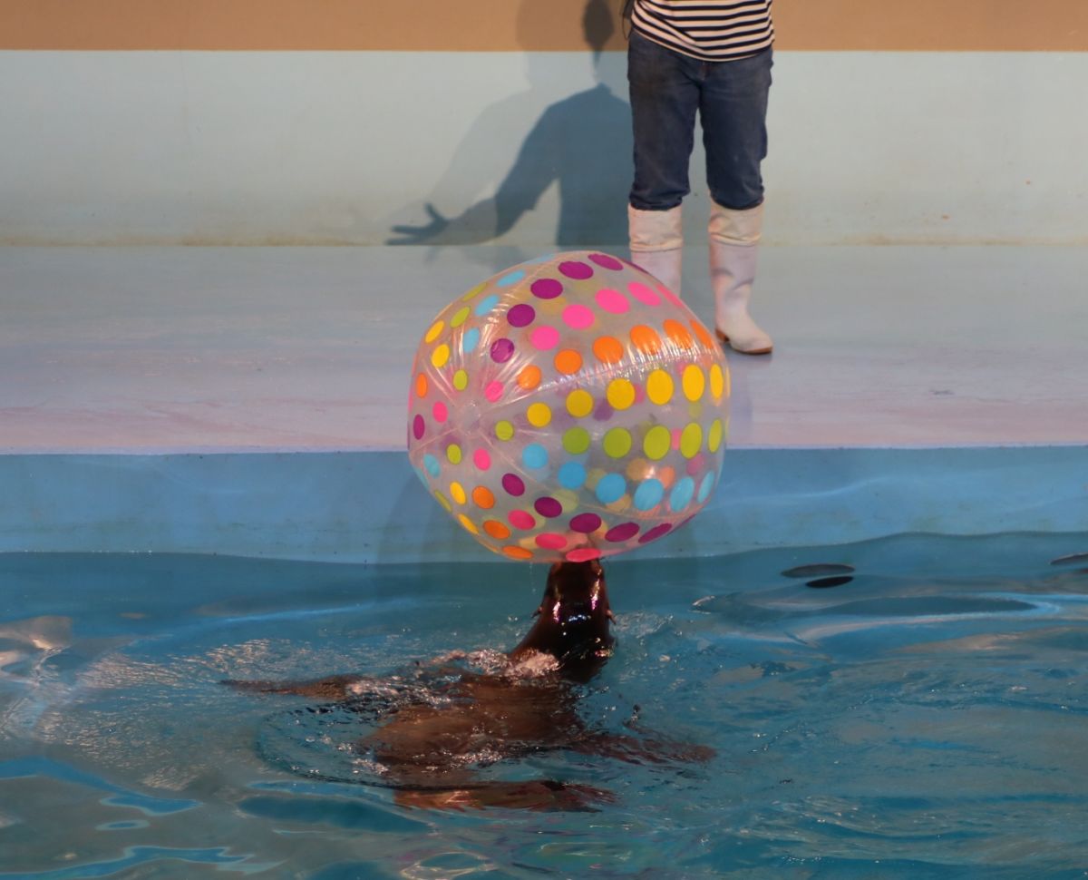 よみうりランド