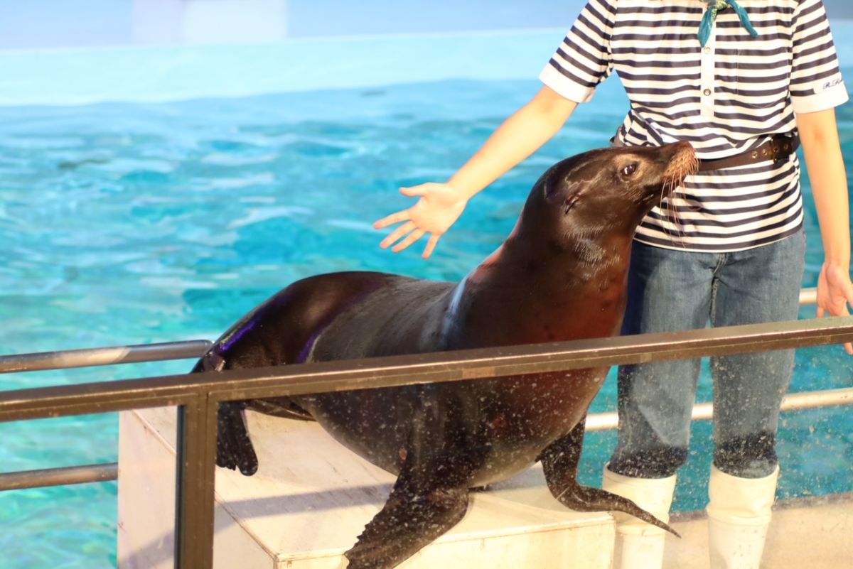 よみうりランド